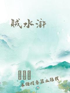 贼水浒