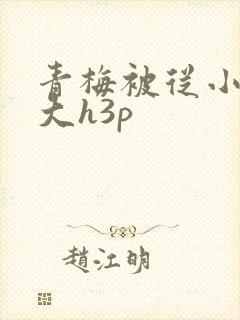 青梅被从小摸到大h3p