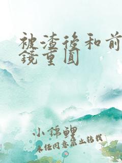 被渣后和前夫破镜重圆