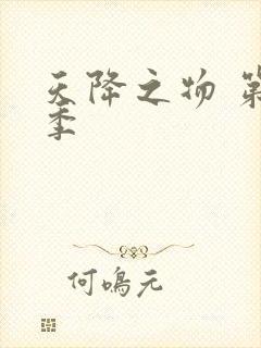 天降之物 第一季