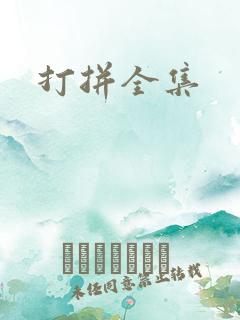 打拼全集