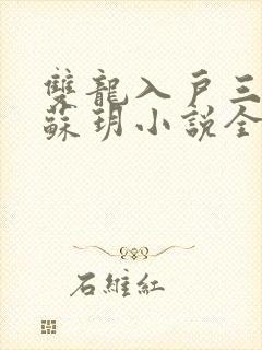 双龙入户三人行苏玥小说全文阅读