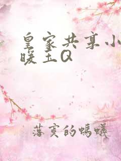 皇家共享小公主暖玉Q