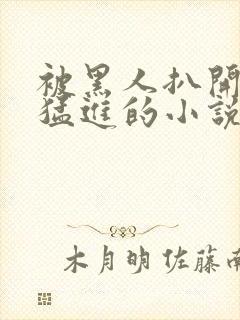 被黑人扒开双腿猛进的小说