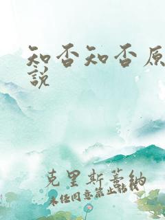 知否知否原著小说