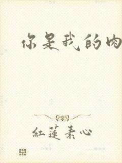 你是我的肉便器