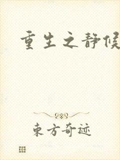 重生之静候锦年