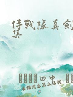 侍战队真剑者全集