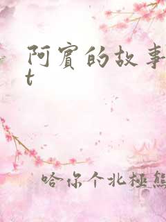 阿宾的故事txt