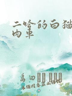 二哈的白猫师尊肉车