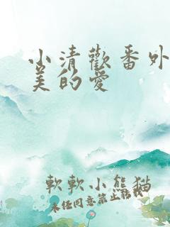 小清欢番外篇完美的爱