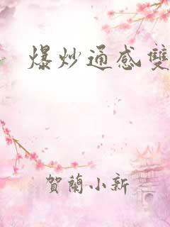 爆炒通感双胞胎