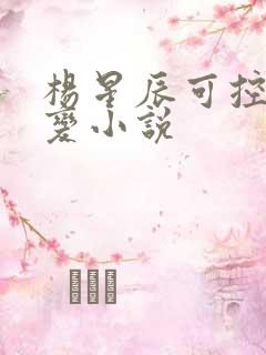 杨星辰可控核聚变小说