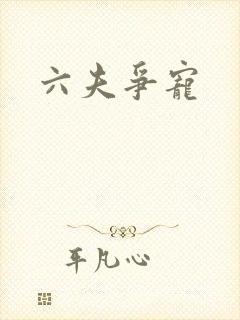 六夫争宠