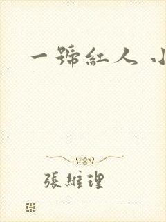 一号红人 小说