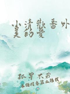 小清欢番外篇完美的爱