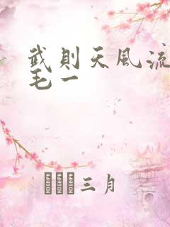 武则天风流艳情毛一