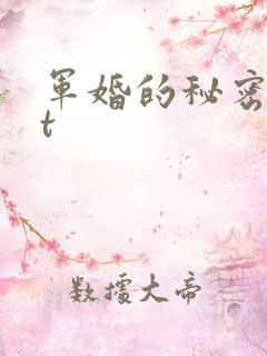 军婚的秘密txt