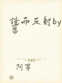 镜面反射by九葛