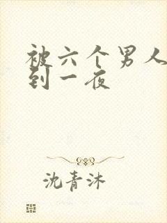 被六个男人躁J到一夜