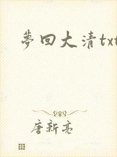 梦回大清txt