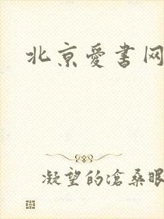 北京爱书网
