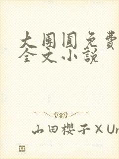 大团圆免费阅读全文小说