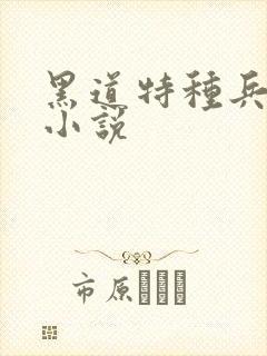 黑道特种兵有声小说