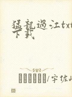 猛龙过江txt下载