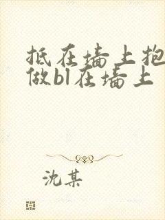 抵在墙上抱起来做bl在墙上