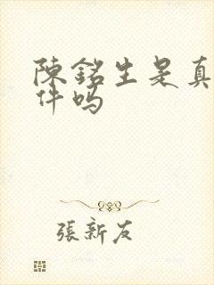 陈铭生是真实事件吗