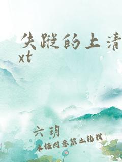 失踪的上清寺txt