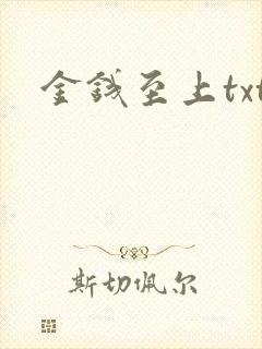 金钱至上txt
