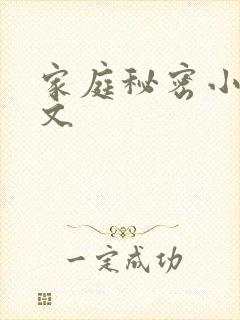 家庭秘密小说全文