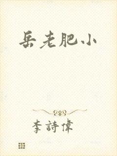 岳老肥小