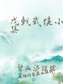 戊戟武侠小说全集