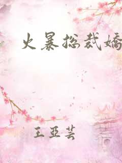 火暴总裁娇柔妻