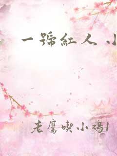 一号红人 小说