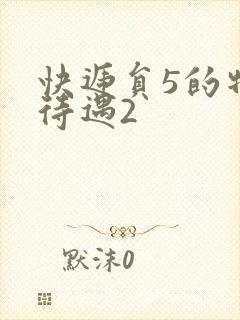 快递员5的特殊待遇2