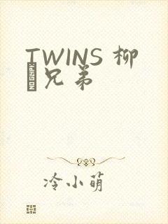 TWINS 柳澤兄弟