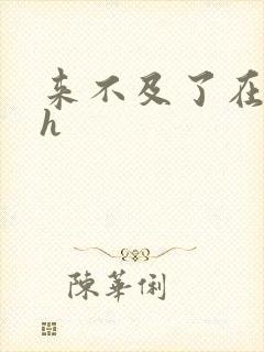 来不及了在车ch