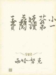 王磊晓芬小说免费阅读第一章