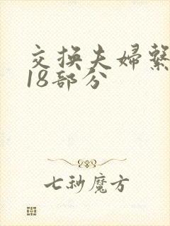 交换夫妇系列第18部分