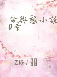 公与憩小说400章