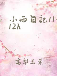 小雨日记11-12h