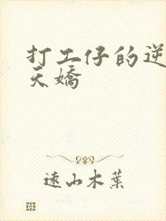 打工仔的逆袭楚天娇