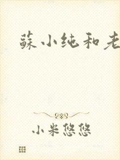 苏小纯和老苏