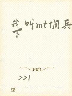 我叫mt佣兵天下