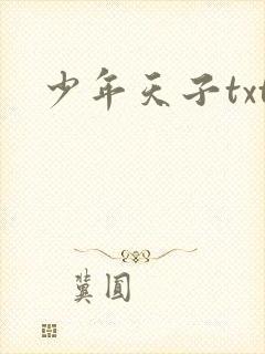 少年天子txt