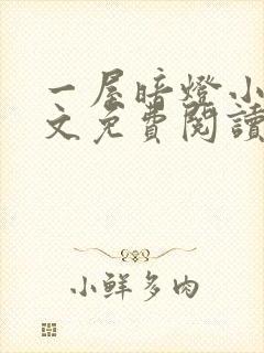 一屋暗灯小说全文免费阅读txt